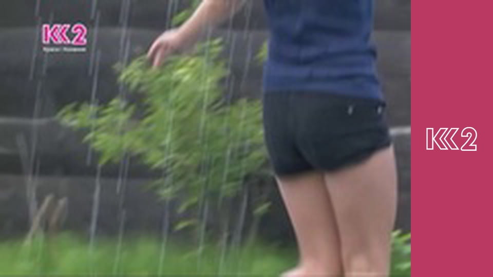 Удачний проект S3E35