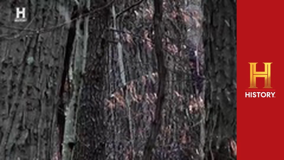 Доказательство где-то рядом, 4 сезон, 1 эп. Дело о бигфуте.