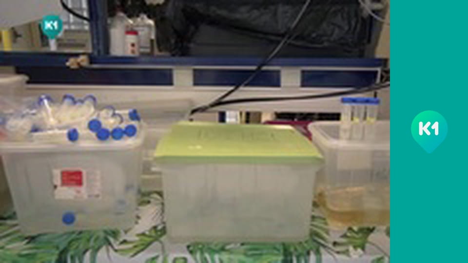 "Інший світ".