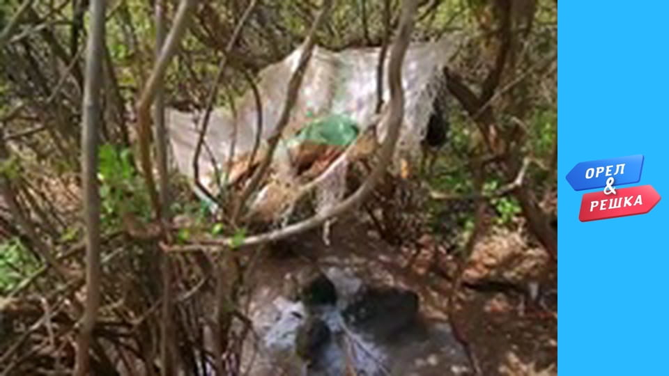 Shopping season 3 - release 13