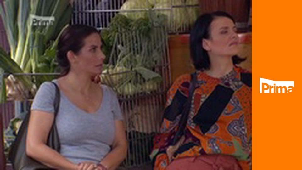 Slunečná E144 - Cvičme v rytme