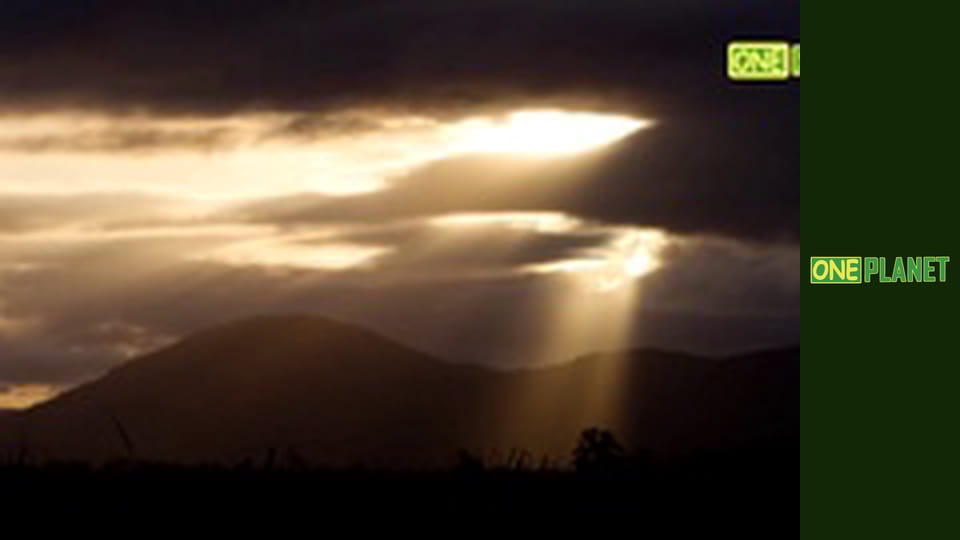 Большой Барьерный риф, 2 эп.