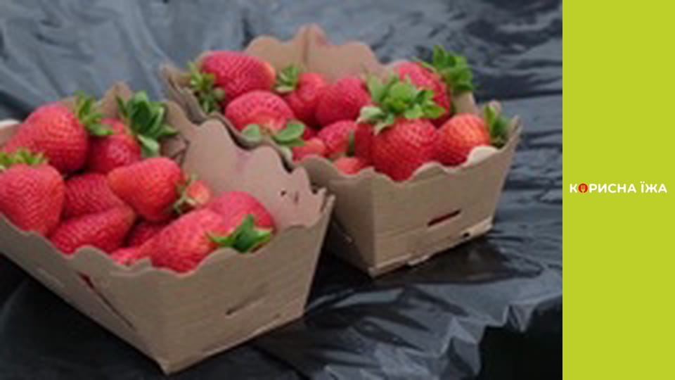 "Berries" - Series 1