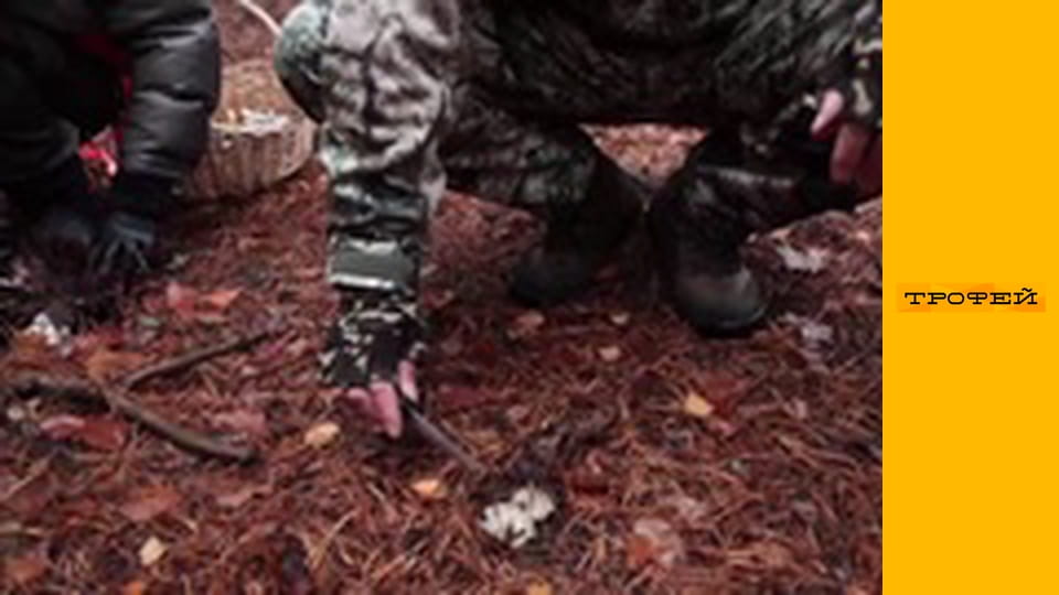 Зіркова риболовля E88