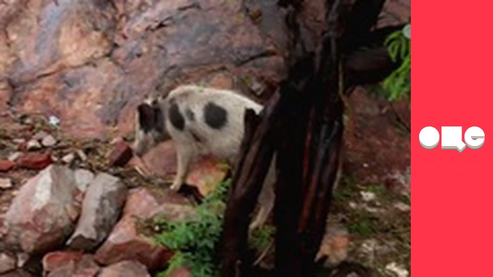 Особливості національної роботи, 1 сезон, 3 еп.