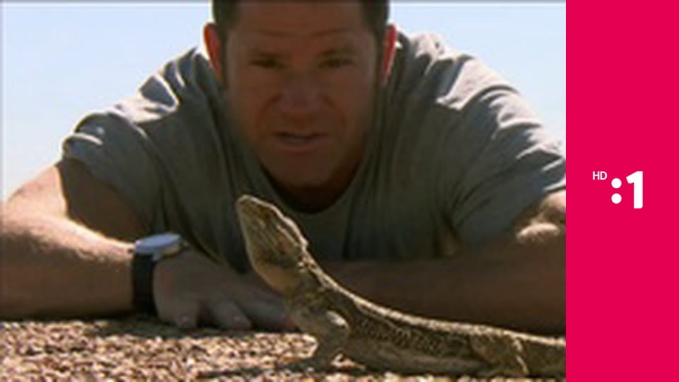 60 zabijakov divočiny E7 - Austrália