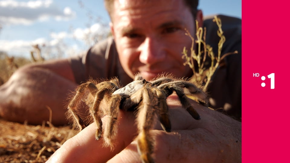 60 zabijakov divočiny E7 - Austrália