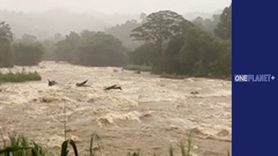 Nature's Force, Season 1, Episode 1