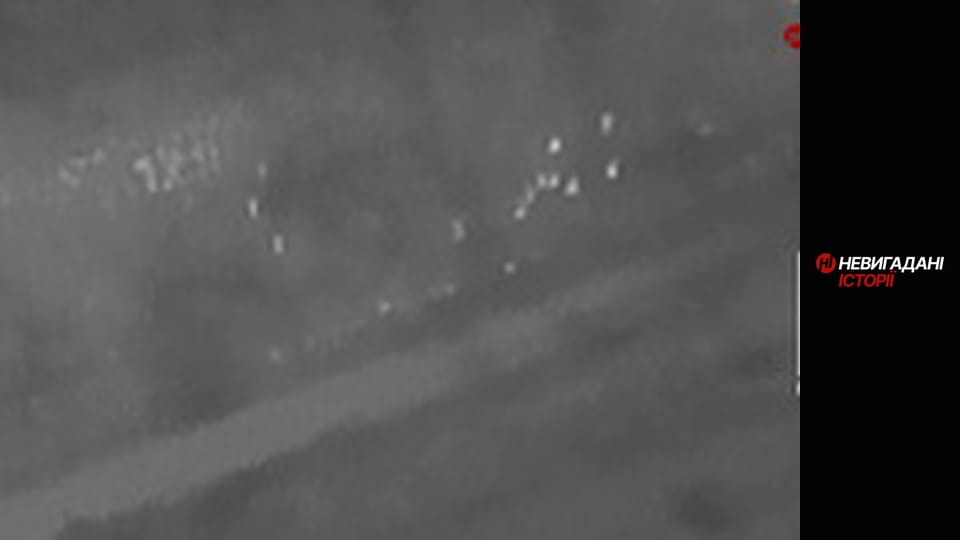 Невигадані історії. Бахмут. Рекси.