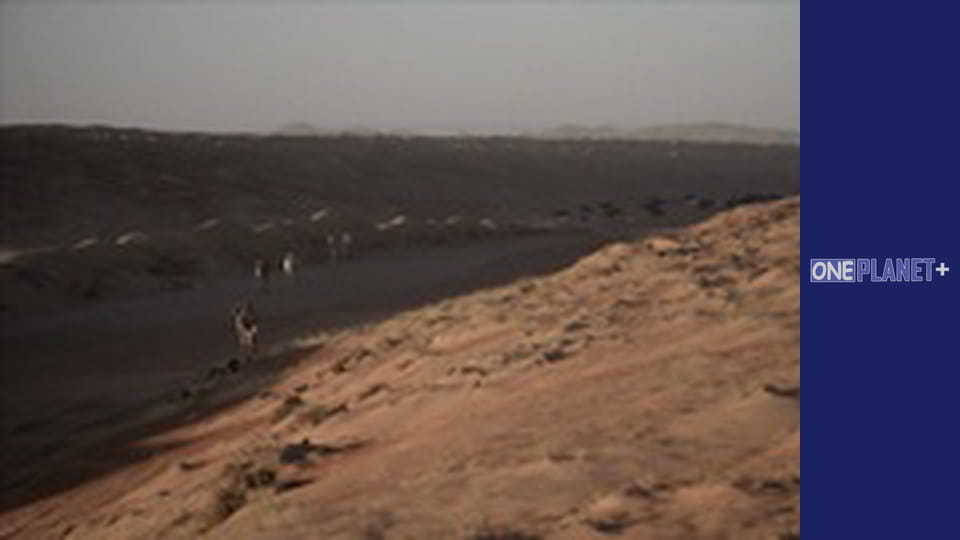 Unlocking the Past, Episode 9