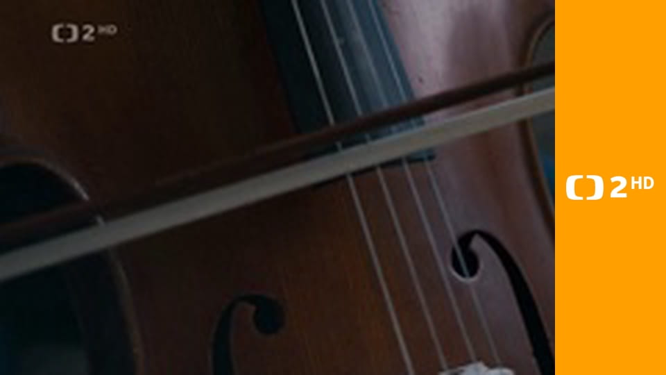 Zprávy v českém znakovém jazyce