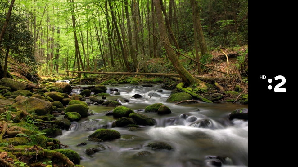 Symbióza v prírode E1 - Hory