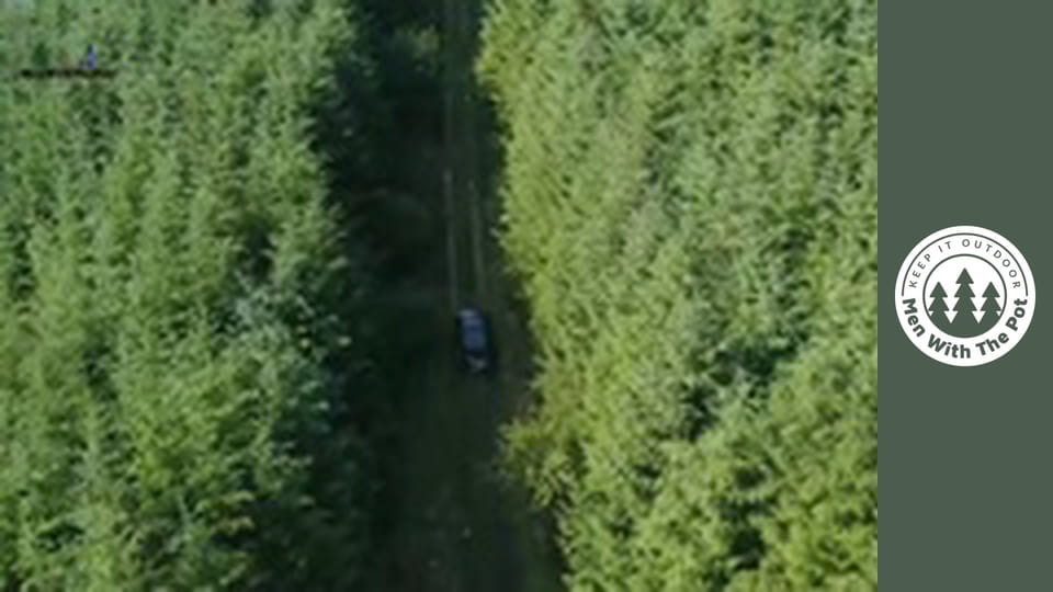 Paste cu Pesto Verde și Somon