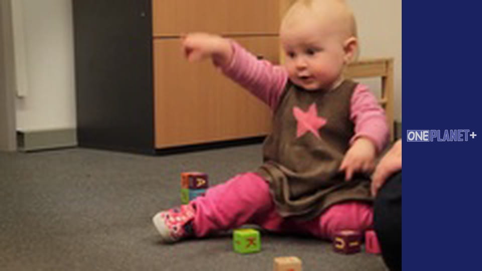 In search of knowledge. - episode 28