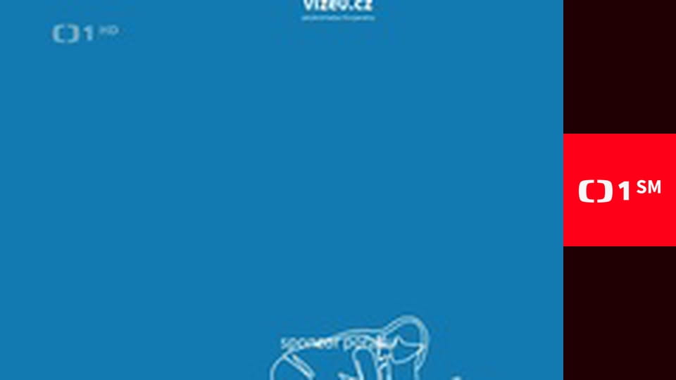 Na silnici jako doma - Vidět dobře