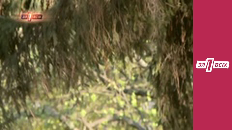 Помста вітчима. Частина 1