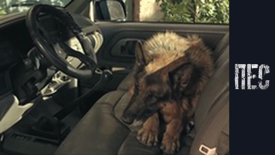 Dog, Season 5, Episode 11