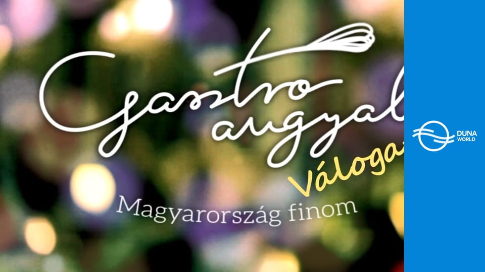 Gasztroangyal - Egész évben Balaton