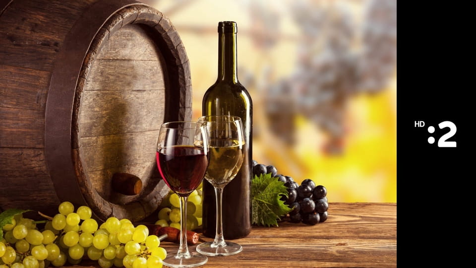 Vínne cesty Slovenska E17 - Turnianska vínna cesta I.