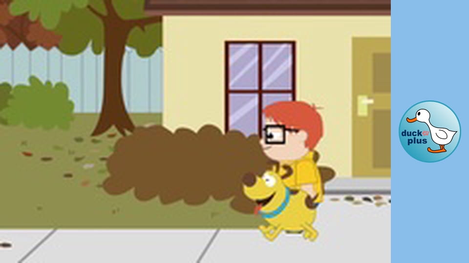 Zack & Ziggy - The Three Chestnut Dolls