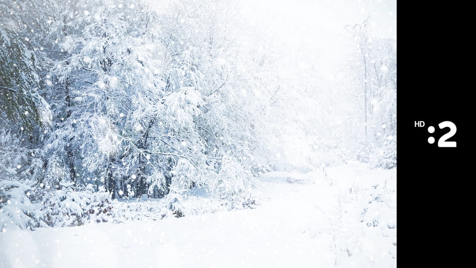 Prechádzka zimným rajom