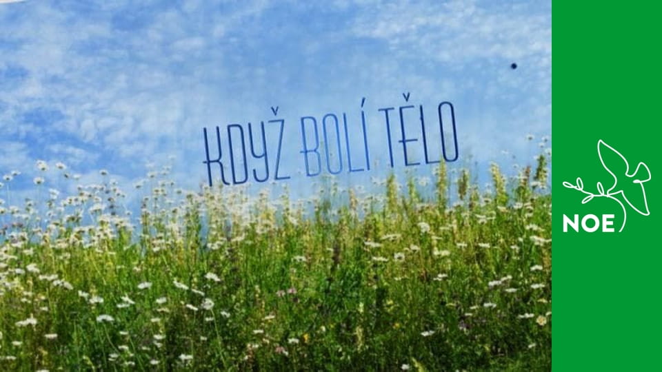 Když bolí tělo - Arytmologie