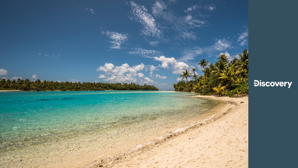 Голые и напуганные: на необитаемом острове S1E6