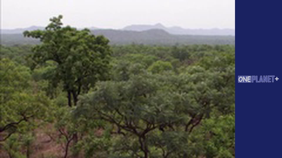 Just in the sky - National Parks. - episode 1