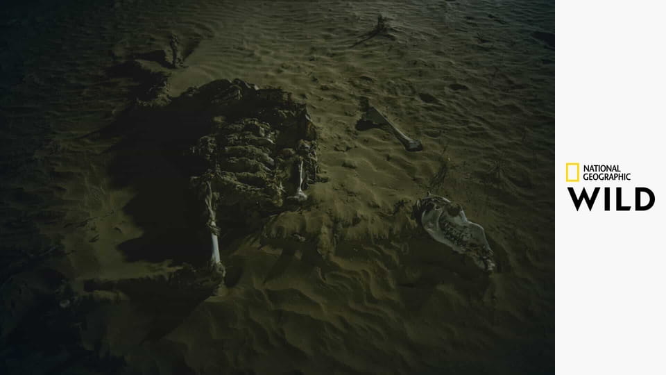 Śmierć przychodzi po zmroku E1 - Powrót żywych trupów