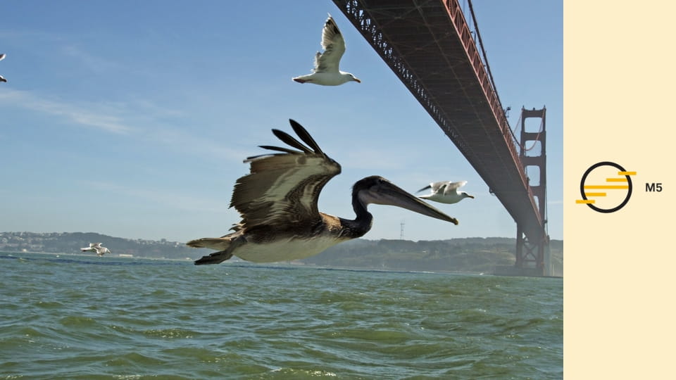 A világ madártávlatból - Wales – Walesi erődök