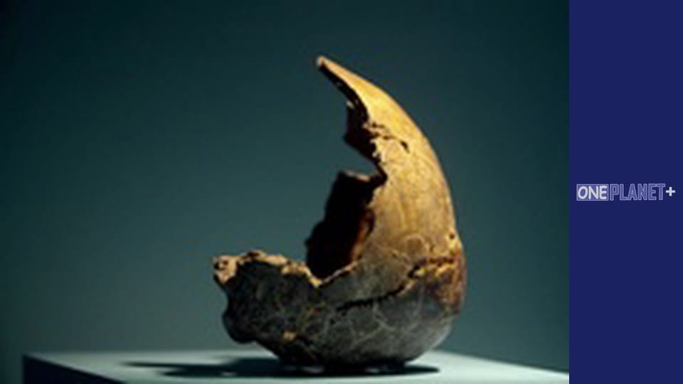 Unlocking the Past, Episode 11