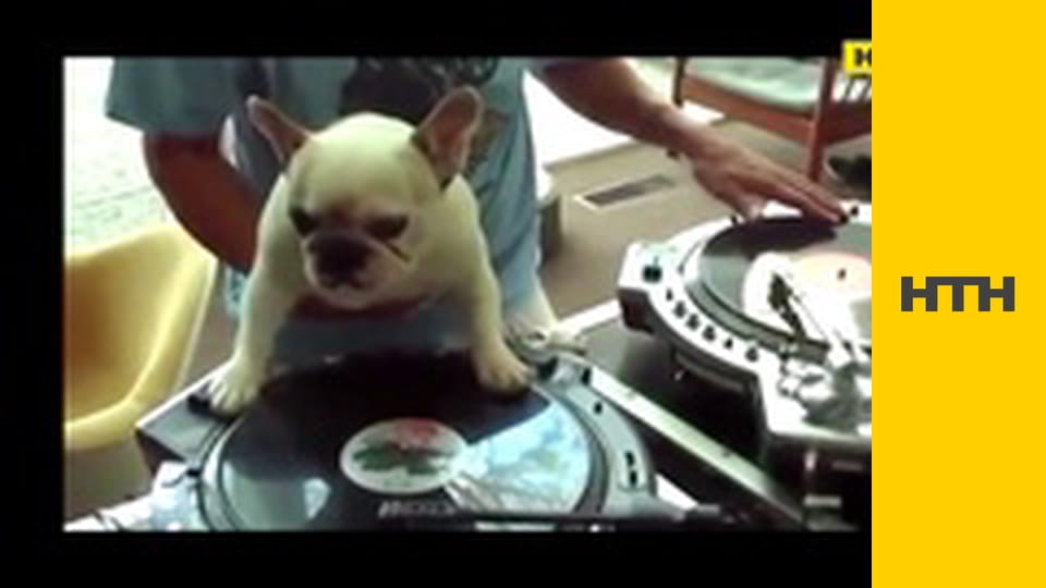 "Правда життя. Професійні байки".