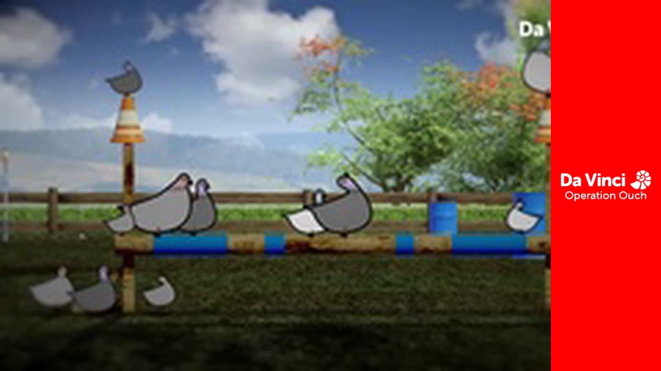 Operațiunea Au! - E păros!