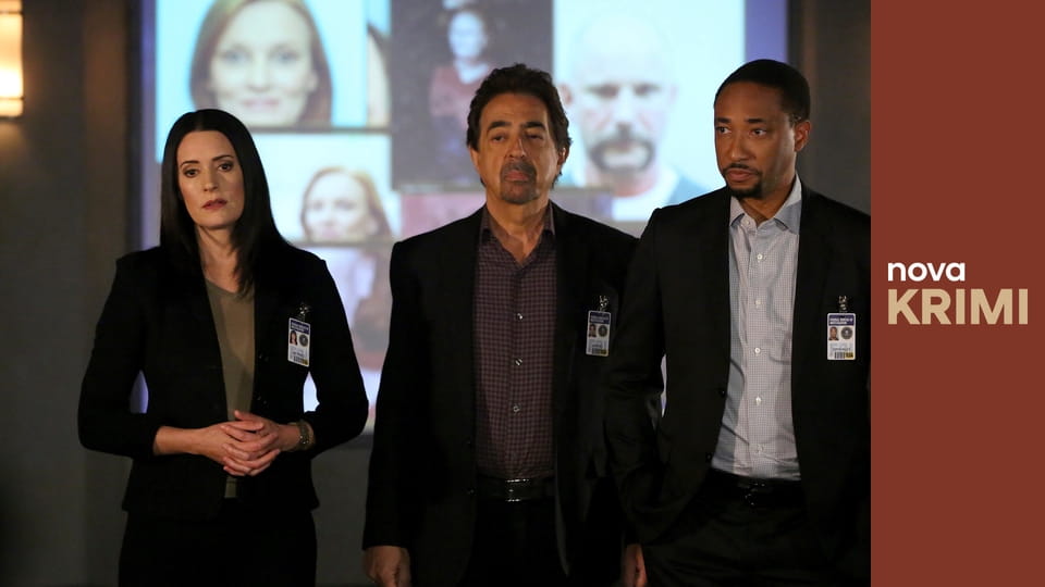 Myšlenky zločince S12E12