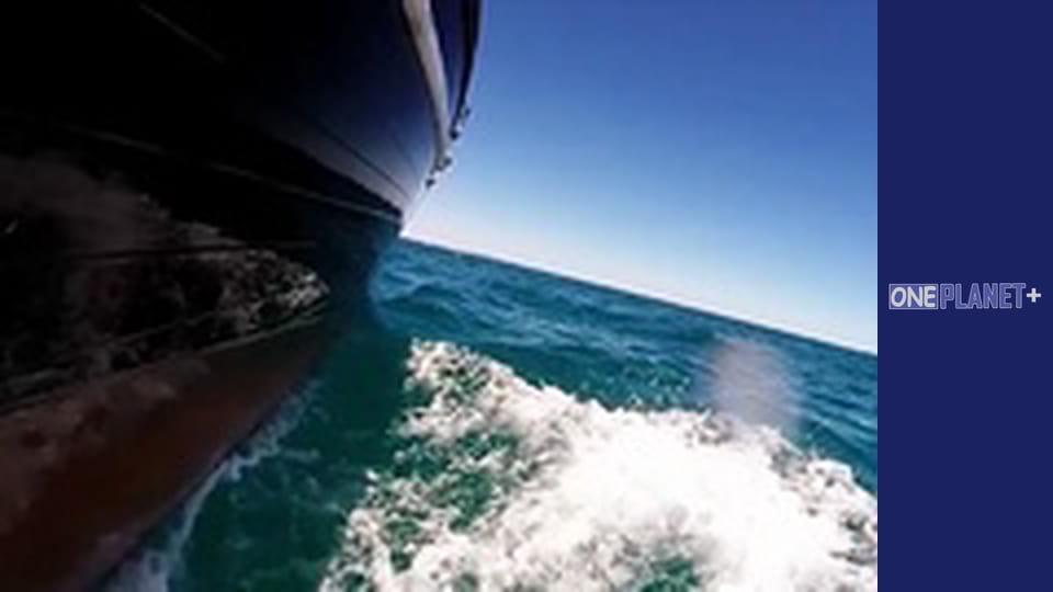 Megacities, Season 1, Episode 9