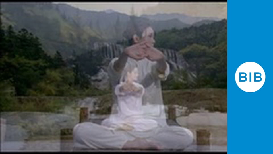 Shaolin Temple Europe