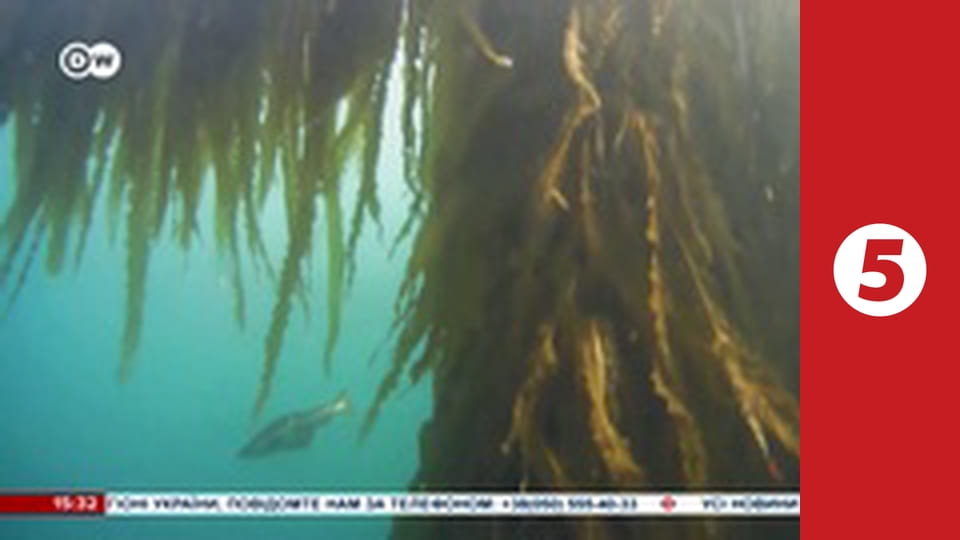 Невигадані історії