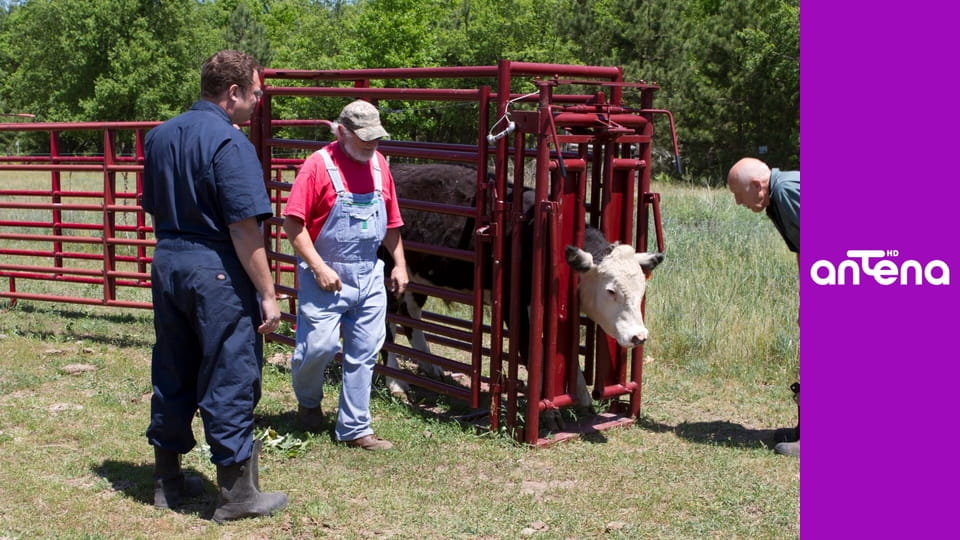 Niezwykły dr Pol S2E5 - Groźne tornado