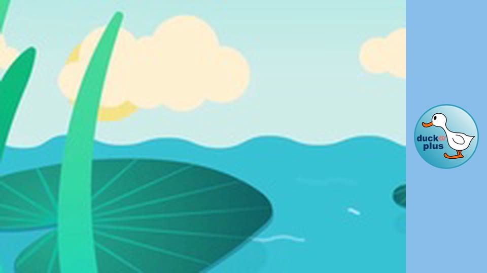 Home Sweet Home - Frog