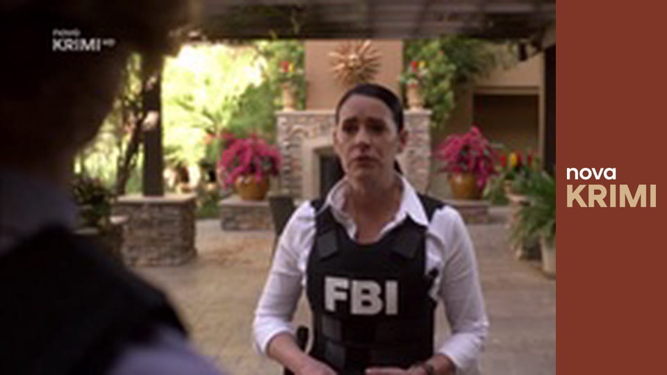 Myšlenky zločince S12E13