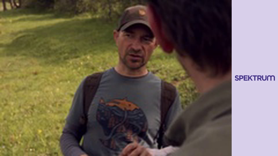 Várfoglalók S2E6 - Regéc