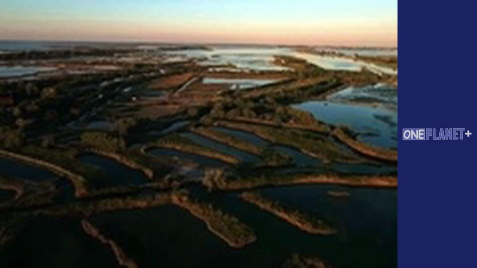 Art of Space. - episode 29