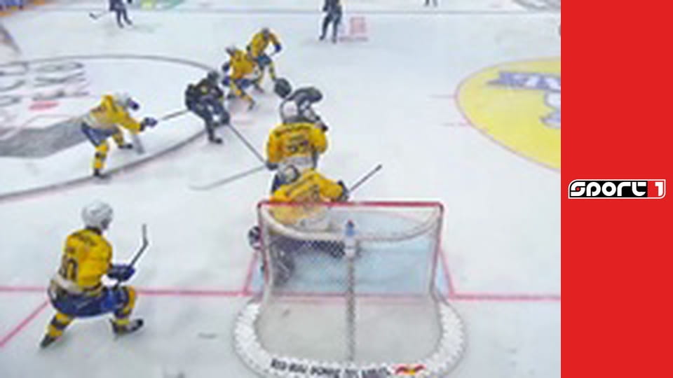 Lední hokej - Fribourg - Davos