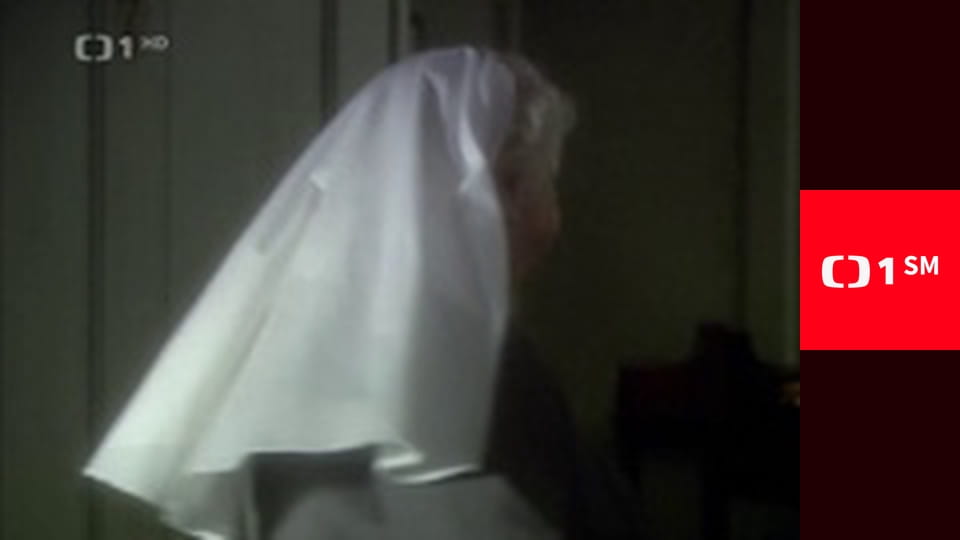 Hercule Poirot XI - Kočka mezi holuby