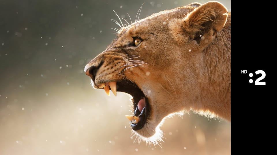 Čudná príroda E23