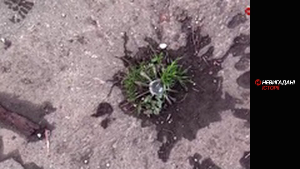 Невигадані історії. Східний фронт.