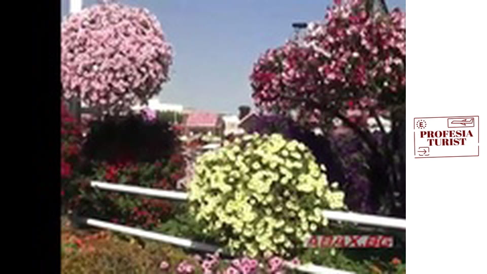 Градината на чудесата в Дубай