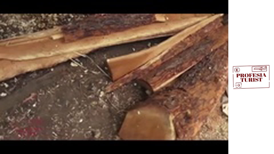 Безпорядъкът на Момбаса, Кения