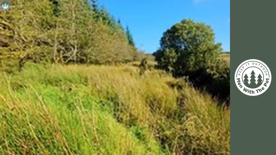 Három módon elkészített finom csirkecombok