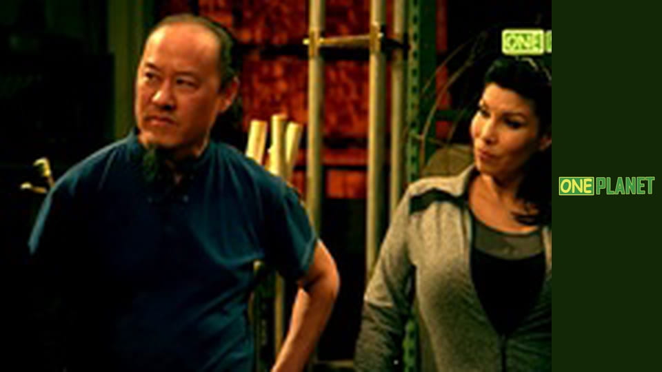 Оружие древности: искусство войны, 17 эп.